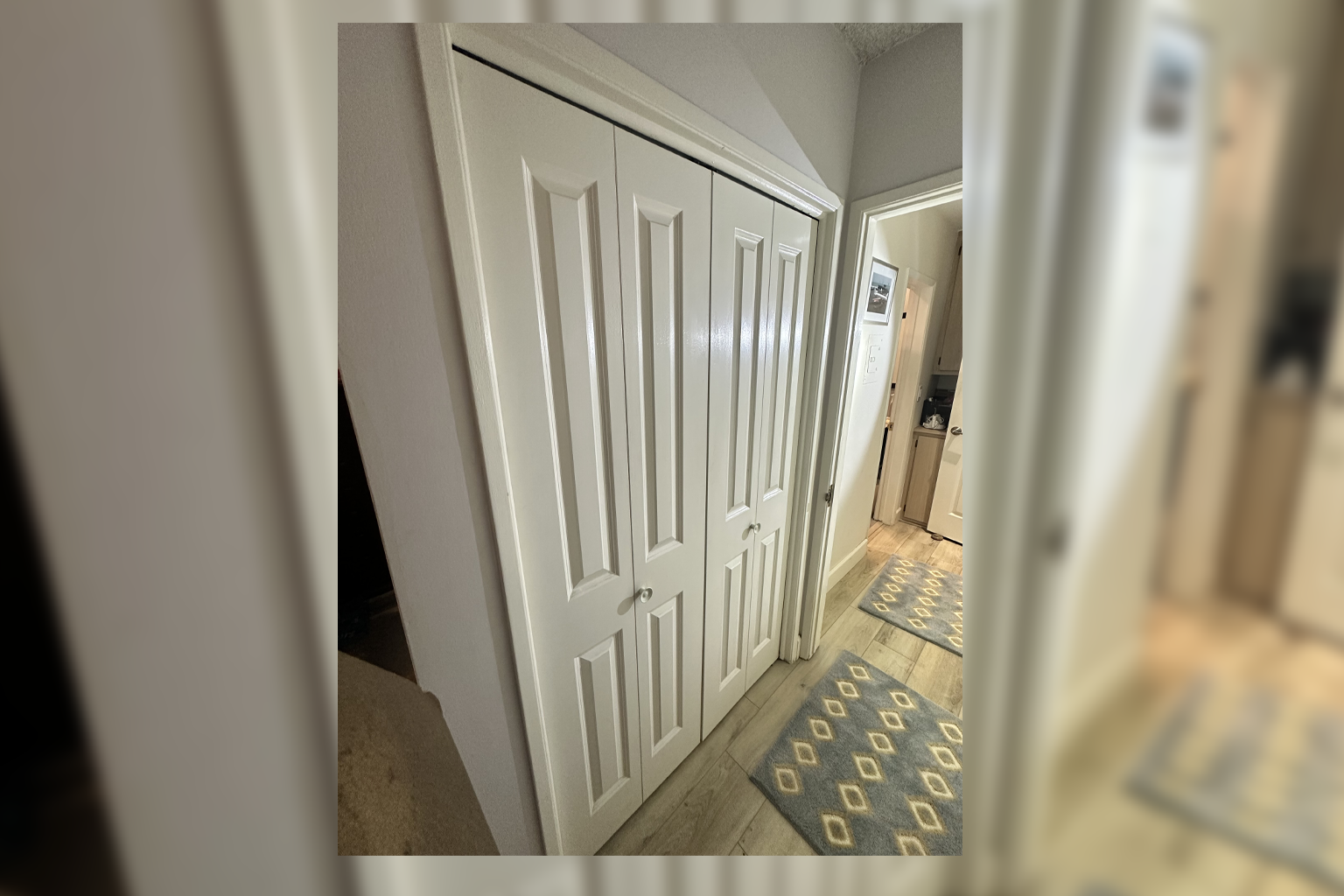 laundry doors before black